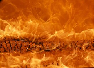 Czy marka to to samo co znak towarowy?