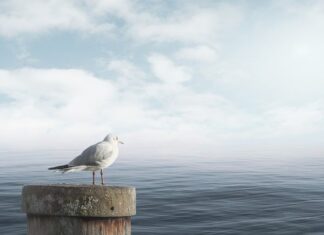 Jak uspokoić dziecko przed egzaminem?