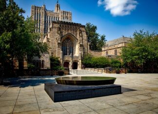 Ile kosztuje rok na Yale?